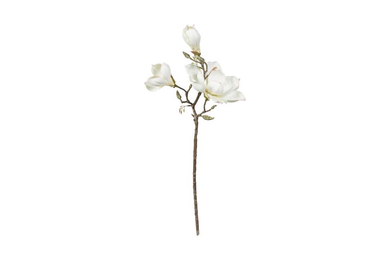 Magnolia kvist vit konstväxt