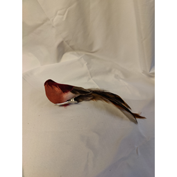Fågel clips vinröd svart fjädrar 