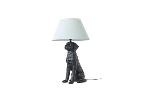 Retriver armatur lampa hund