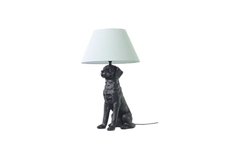 Retriver armatur lampa hund
