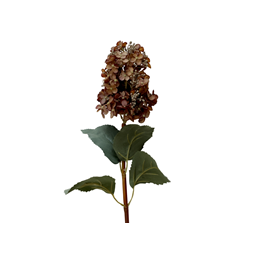 Hortensia konstväxt konstblomma mocca