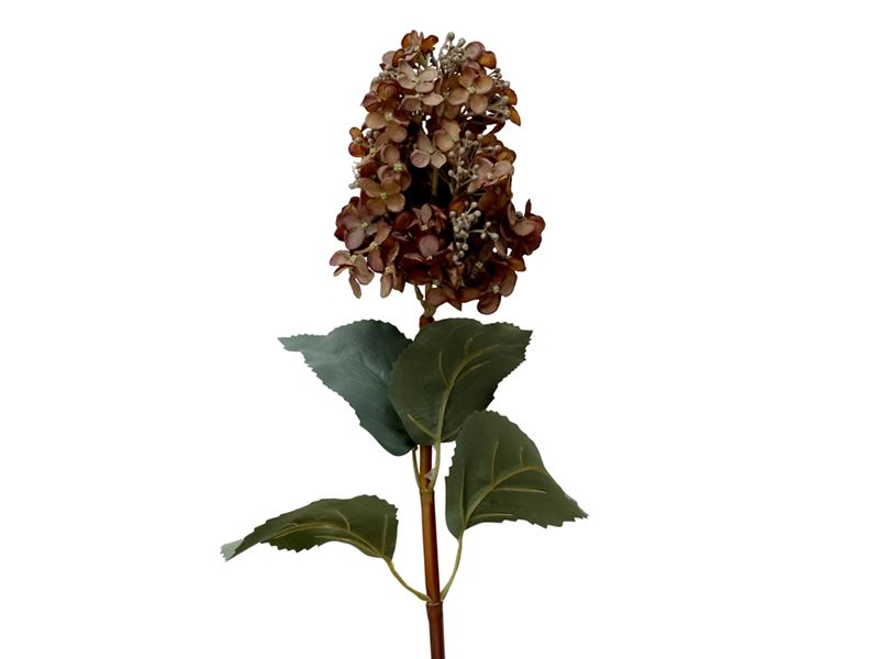 Hortensia konstväxt konstblomma mocca