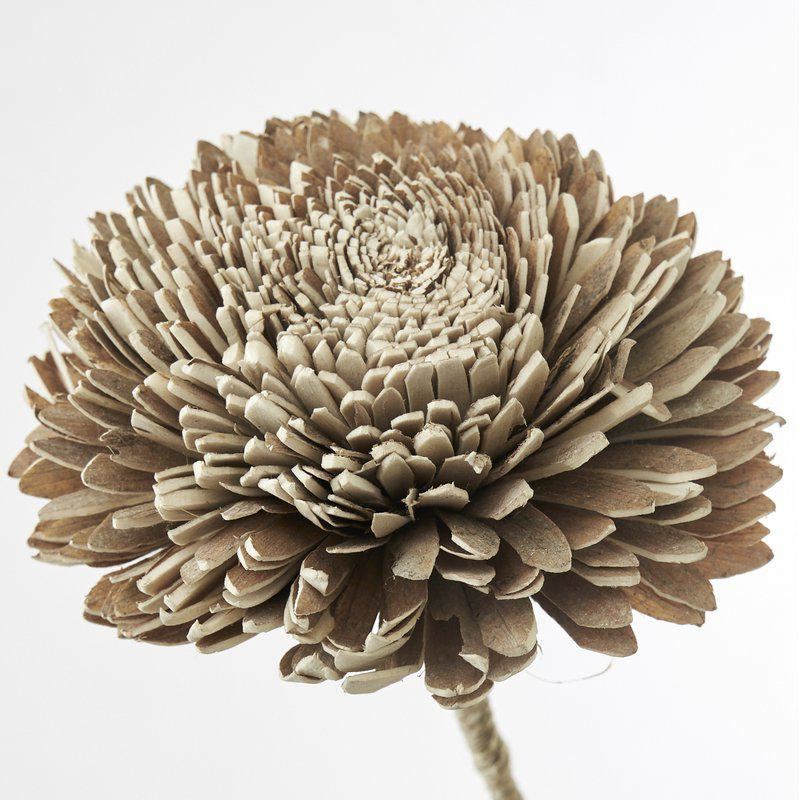 Flore Zinnia natur