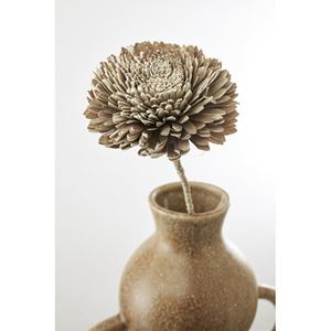Flore Zinnia natur