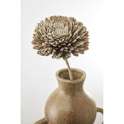 Flore Zinnia natur