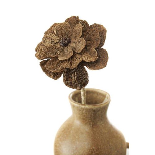 Flore Dahlia blomma