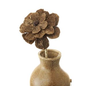 Flore Dahlia blomma