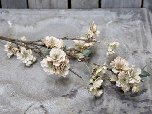 konstväxt blommor gren gammelrosa