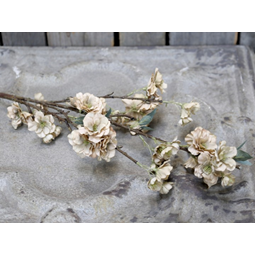 konstväxt blommor gren gammelrosa