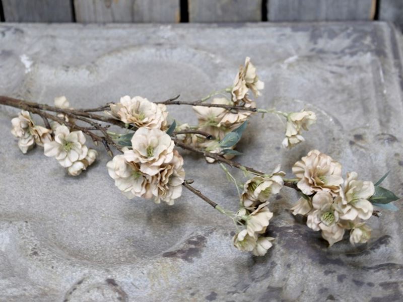 konstväxt blommor gren gammelrosa