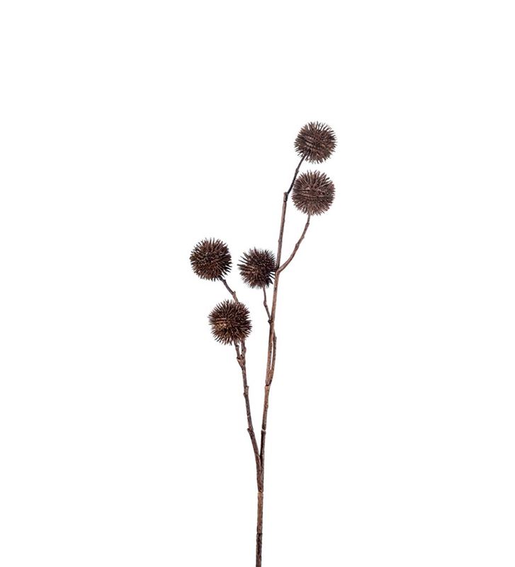 Konstväxt Plantan Brun