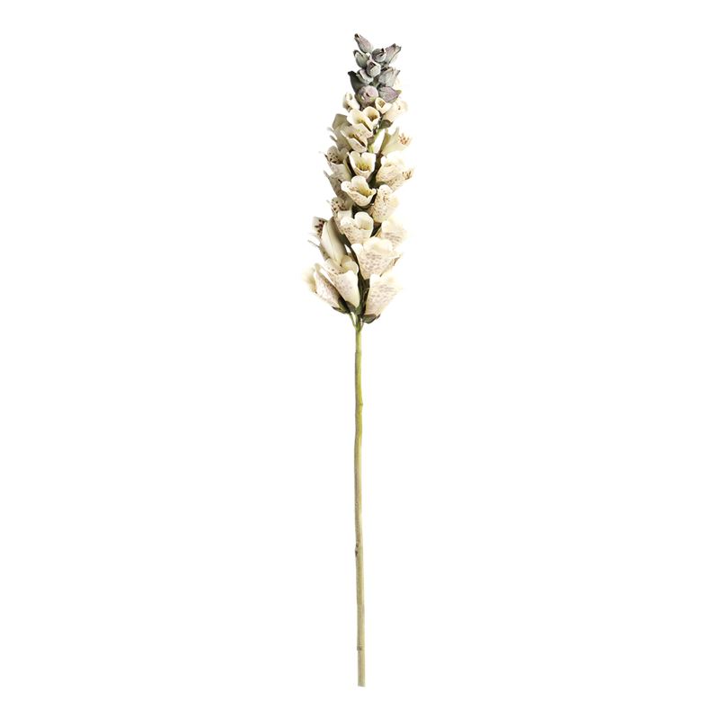 Fingerborgsblomma vit konstväxt