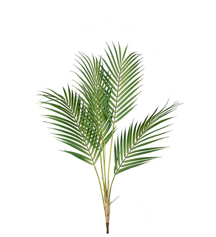 Konstväxt bergpalm kvist grön