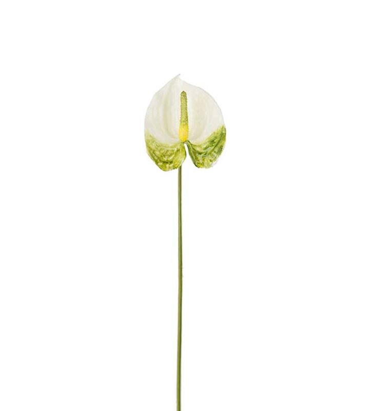 Flamingoblomma konstväxt vit 