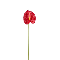 Flamingoblomma konstväxt röd