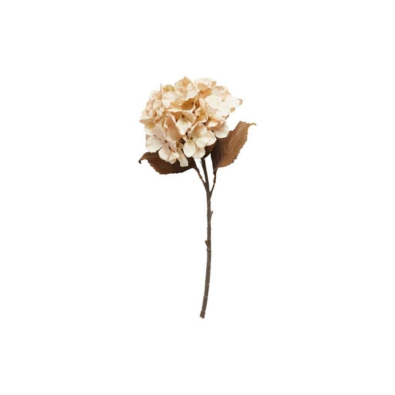 konstväxt hortensia